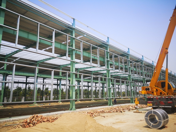 山東乾鋼金屬科技有限公司二期鋼結(jié)構(gòu)工程